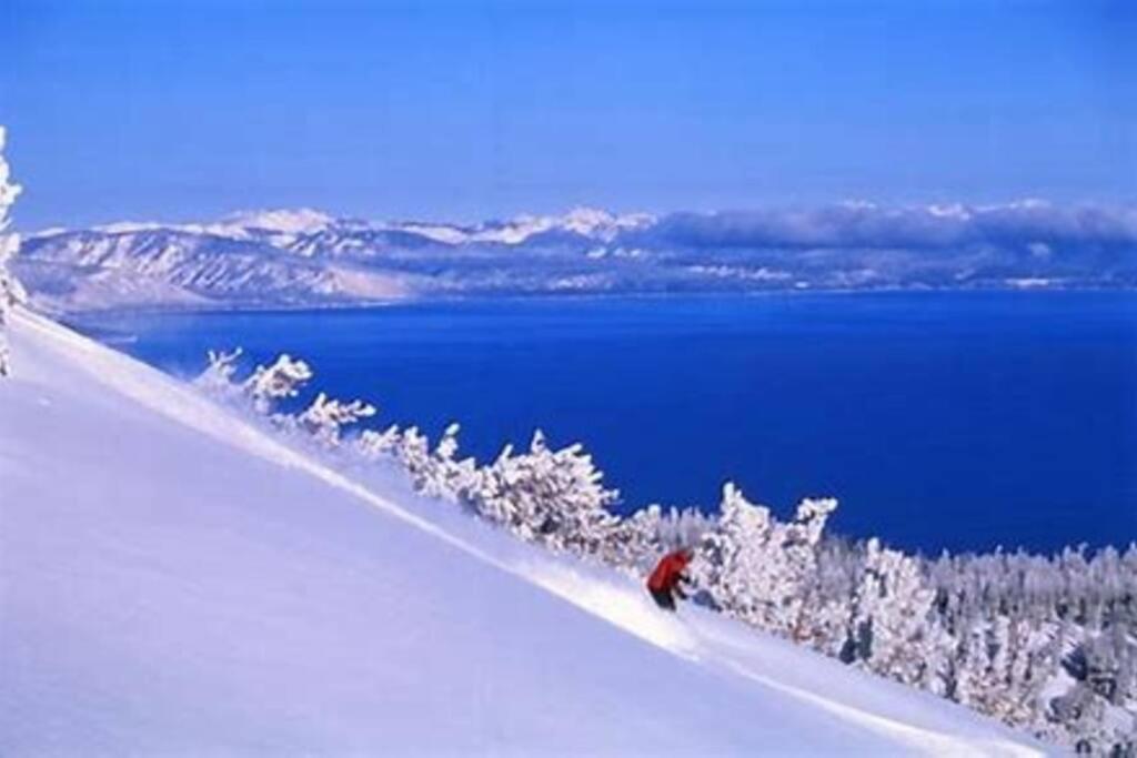 Ski In/Out - Zalanta - Great Location- 2 Hot Tubs - Heated Pool 사우스 레이크 타호 외부 사진